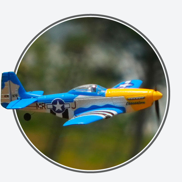 Oiseaux de guerre RC