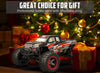 1:16 Scale High Speed All Terrain RC Car - EXHOBBY