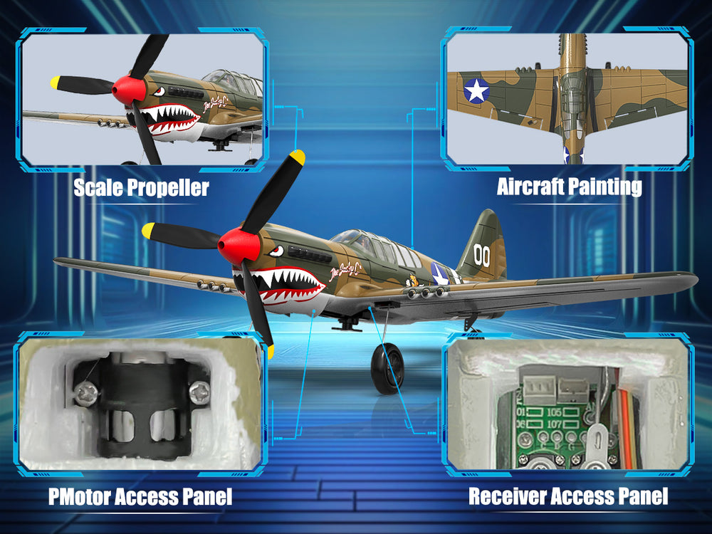 VOLANTEXRC P40 Warhawk RC Plan 4CH RTF avec stabilisation XPilot