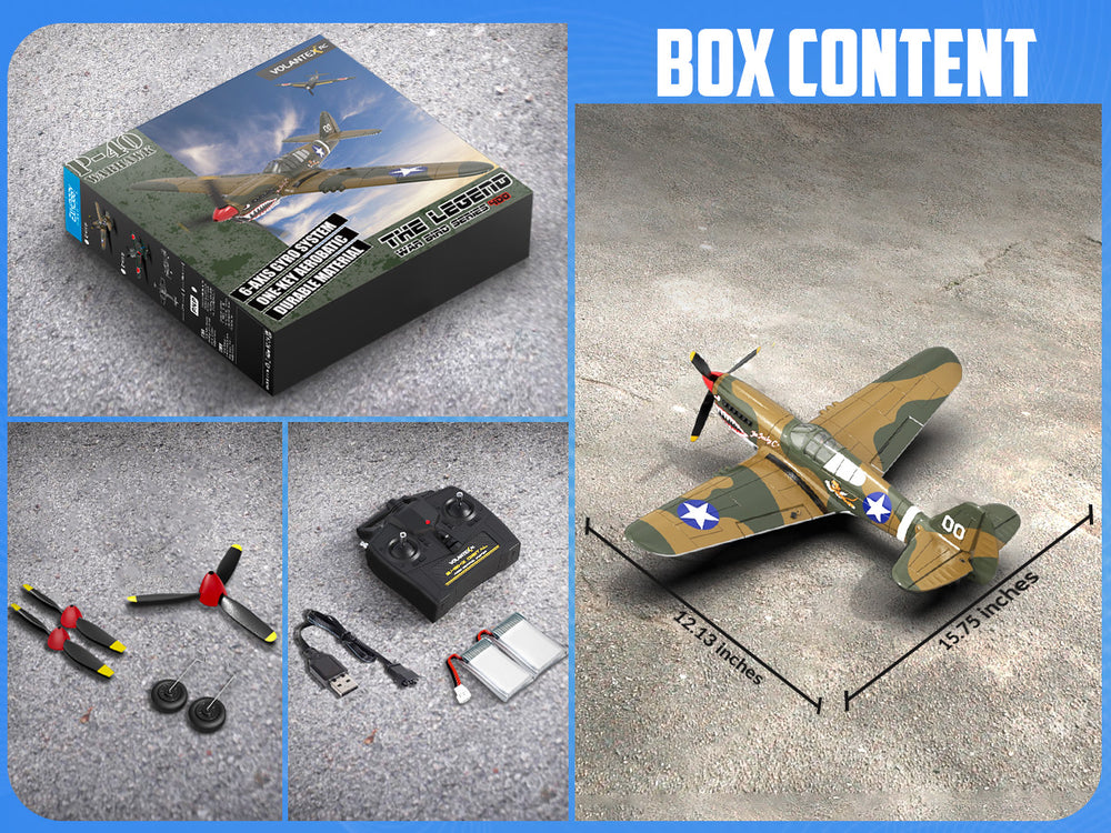 VOLANTEXRC P40 Warhawk RC Plan 4CH RTF avec stabilisation XPilot