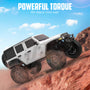 RACENT 1/24 Crawler RC Monster Truck Rock Climbing con luz LED (787-1 White)