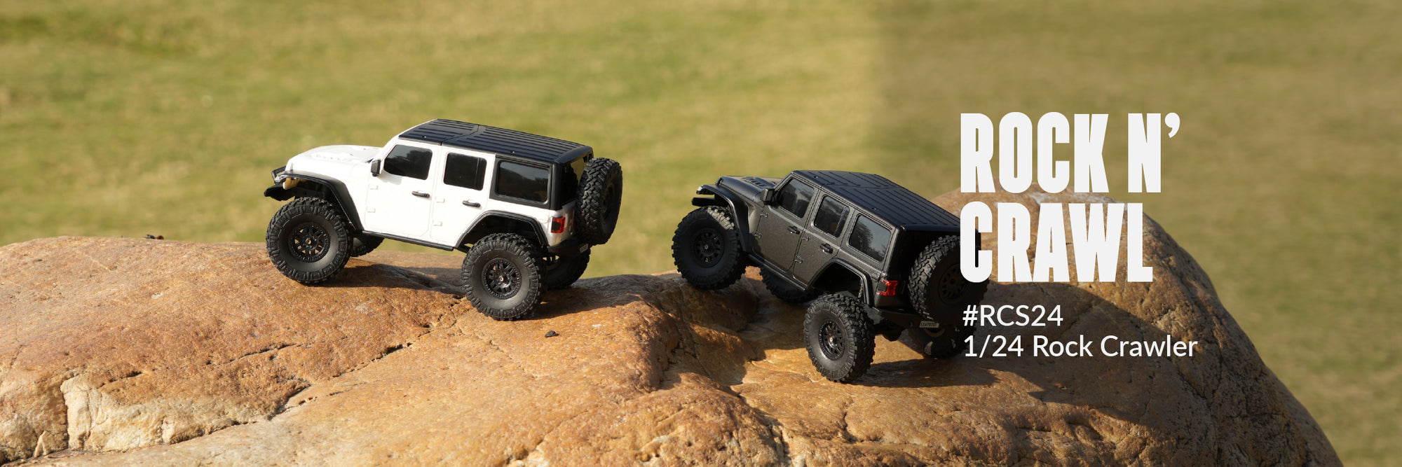 EXHOBBY LIMITED - RC Cars & Trucks