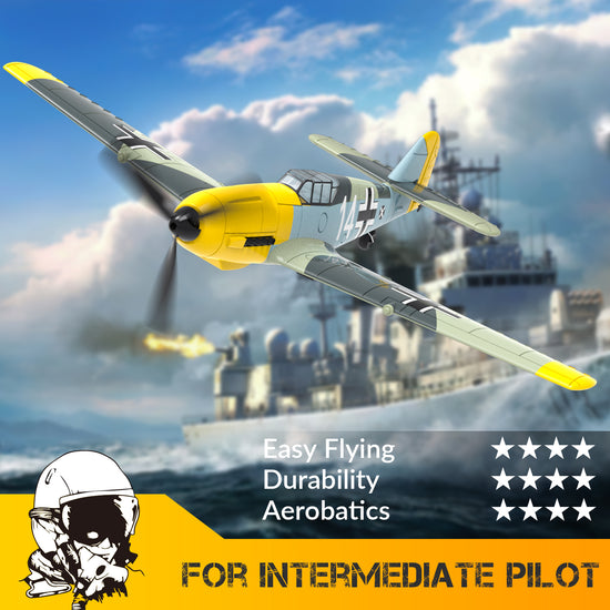 BF109 RC Warbird Airplane-EXHOBBY