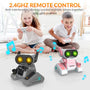 STEMTRON Rechargeable RC Robot Toys with Auto Demo, Dance Moves, Music for Kids (Black)