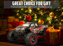 Racent 1:16 Remote Control Car 30MPH High Speed 4WD Off-Road RC Monster Truck Red (With Green Car Shell)